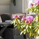 C11220-hemmet-raevekrogen-46 Nyaraló Hemmet